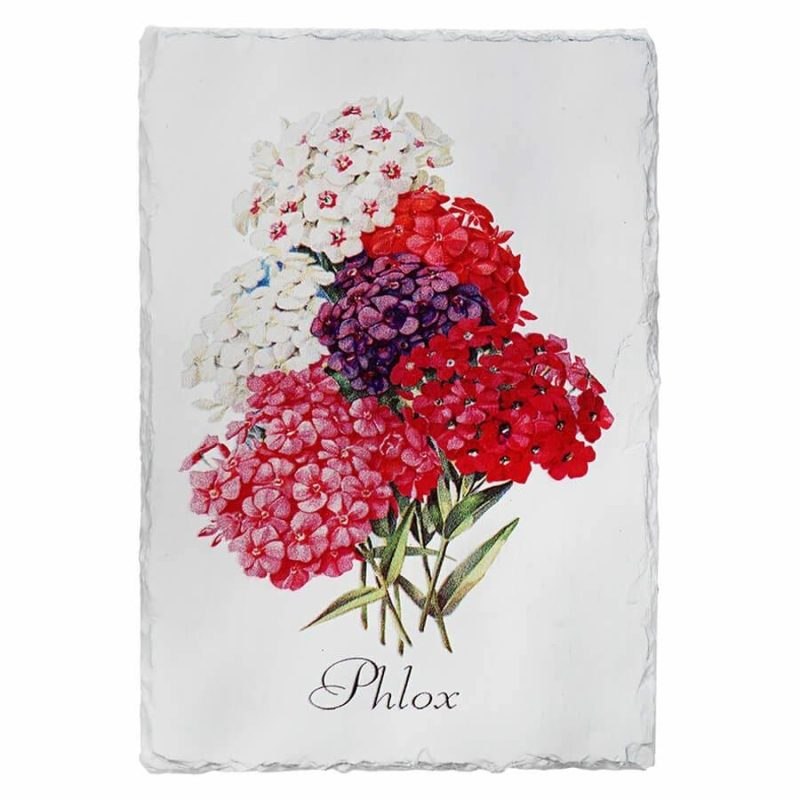 Phlox Floral Slate Wall Art  |  Easter