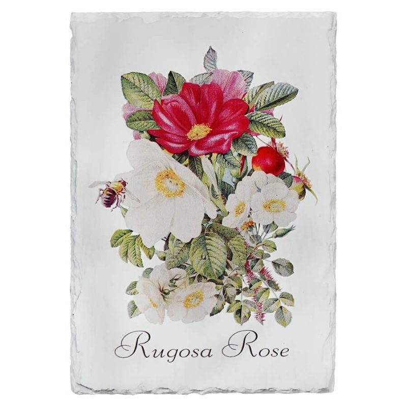 Rugosa Rose Floral Slate Wall Art  |  Easter